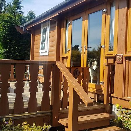 Апартаменты Cabin Trawsfynydd Экстерьер фото